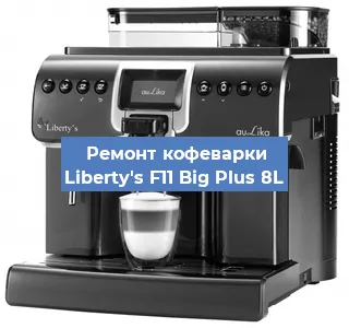 Чистка кофемашины Liberty's F11 Big Plus 8L от накипи в Краснодаре